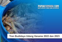 Tren Budidaya Udang Vaname 2022 dan 2023
